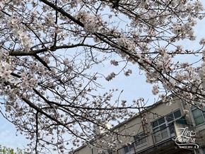 本日の休日は久しぶりに友達んちに自分磨きに行ってきました