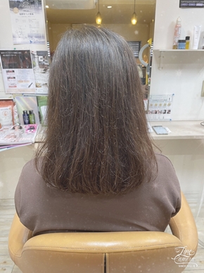 ヘナカラーに変えられて4度目です