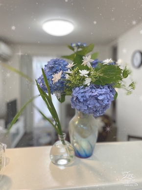 先日お客様から紫陽花を頂きました