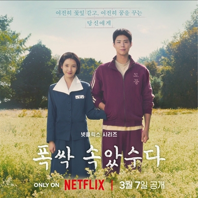 久しぶりに観た韓国ドラマ